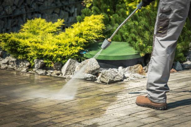 Best Sidewalk and Walkway Cleaning  in Clay City, KY