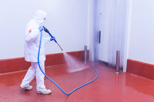 Pre-Holiday Cleaning in Clay City, KY