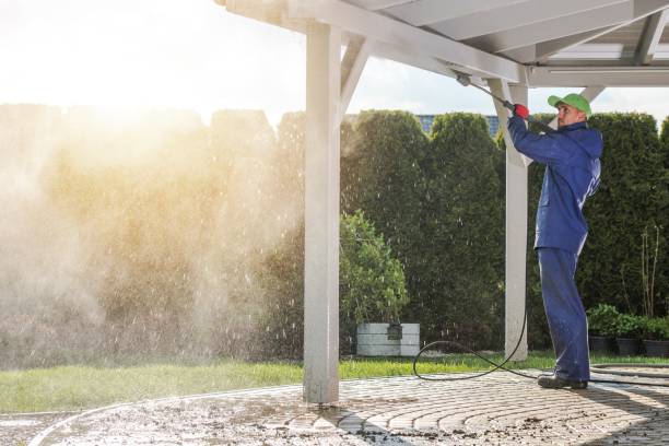 Best Solar Panel Cleaning  in Clay City, KY